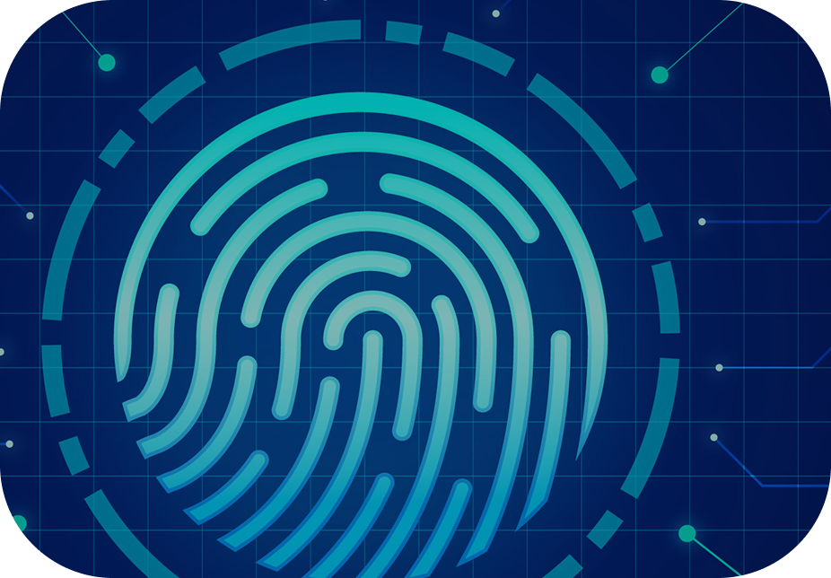 Description de l'image 2